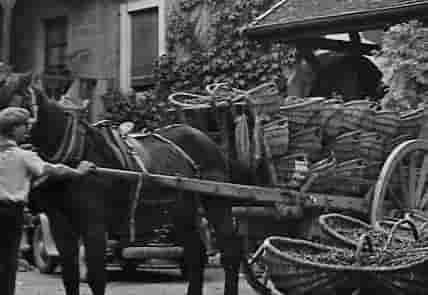 1885 : un homme avec un cheval et une charette