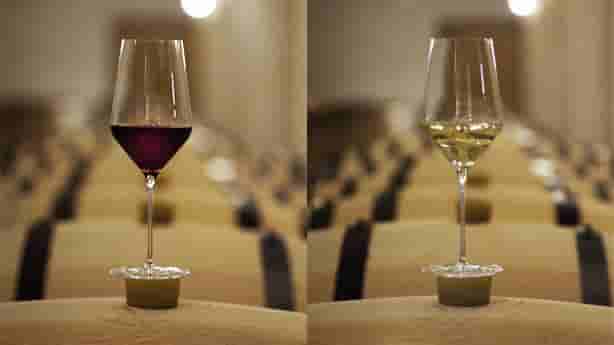 Un verre de vin blanc et un verre de vin rouge